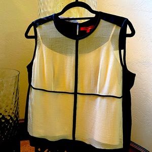 Narciso Rodriguez two tone chiffon blouse